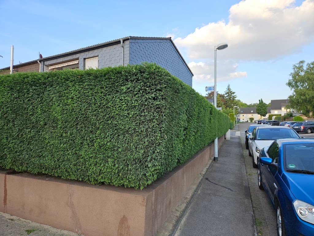 J.O. Haus & Gartenservice