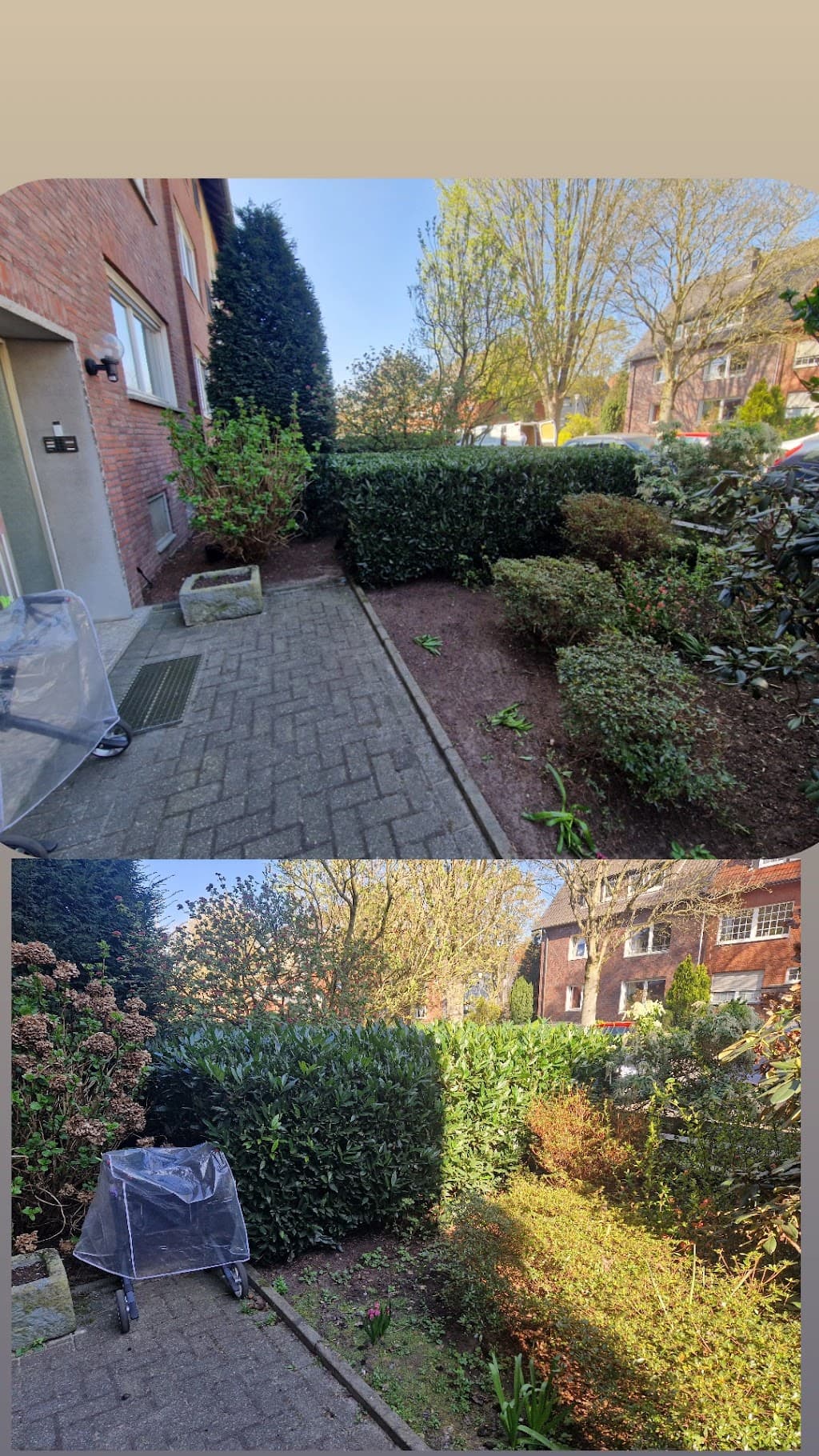 Golden Hands Hausmeisterservice - Gartenpflege