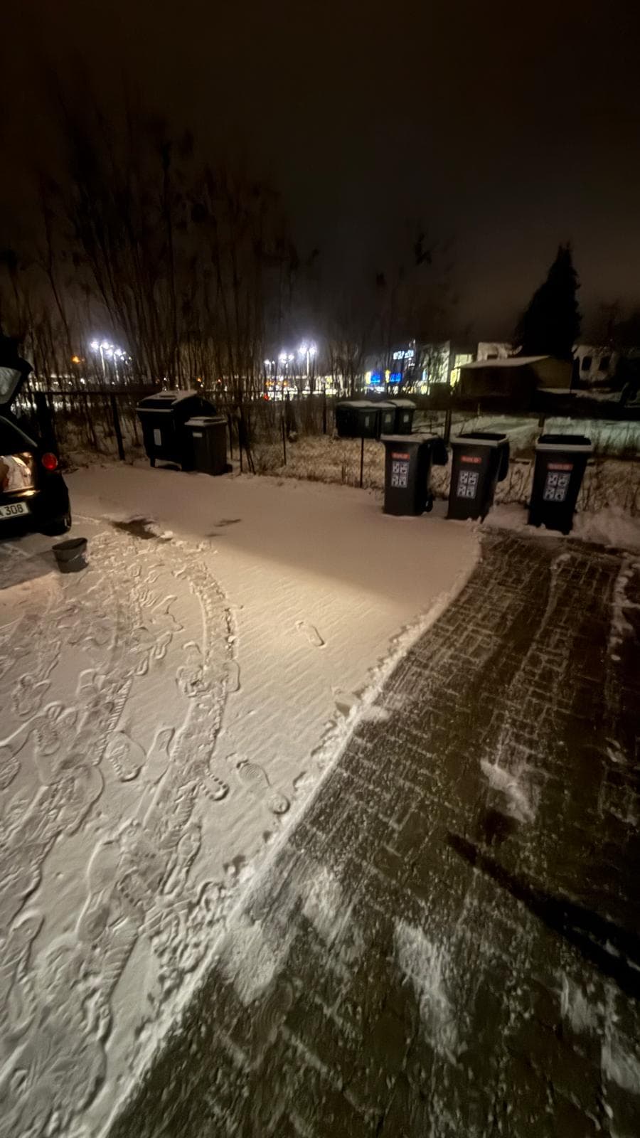 RAT Winterdienst Berlin