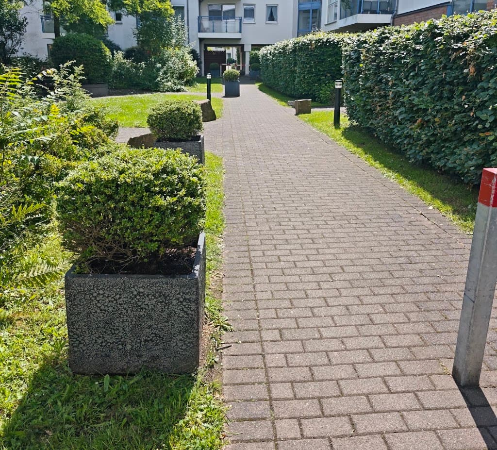 Hausmeisterservice Frisch und Sauber