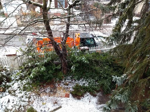 Schneeball Winterdienst Berlin — Kundenfoto