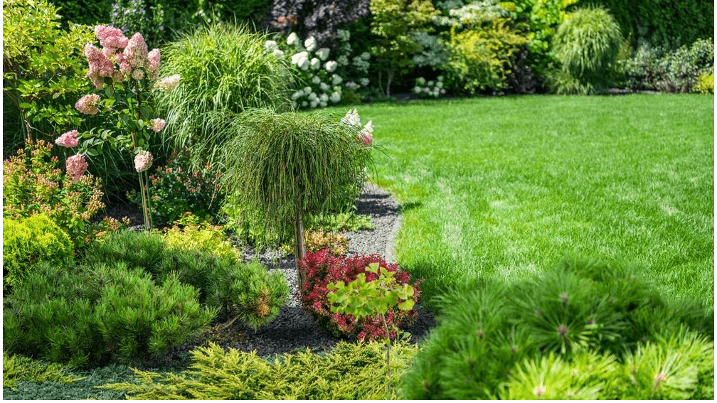 BS Haus & Garten