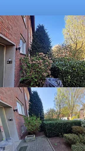 Golden Hands Hausmeisterservice - Gartenpflege — Kundenfoto
